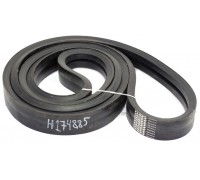 H174885 Belt Tagex