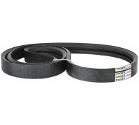 667958.3 Belt Tagex, 667958