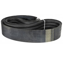 D41990061 Belt Tagex
