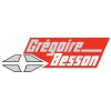 Gregoire Besson-аналог