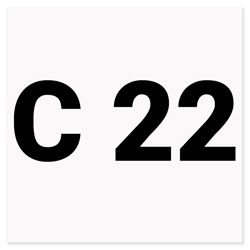 C 22