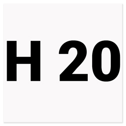 H 20