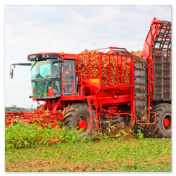 Spare parts for beet harvesters