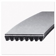Multiple V-ribbed belts Multiple V-ribbed belts