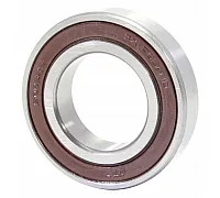 6006 2RS Bearing CX