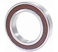 6010 2RS Bearing CX
