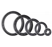 19*37*10-2.2 Shaft Seal Ring TW NBR