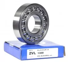1309 Bearing ZVL