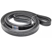 H161945 Belt Tagex