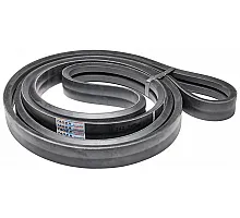 H161945 Belt Tagex