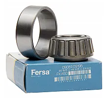 09081/09196 Підшипник Fersa