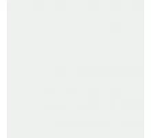 Paint white (RAL 9016) 1l