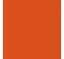 Paint Amazone orange 1l FARMING Line