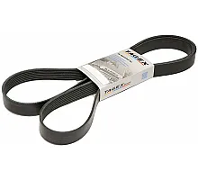 48166008 Пас Tagex