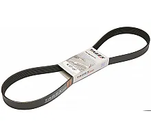 R157687 Пас поліклиновий Tagex [John Deere]