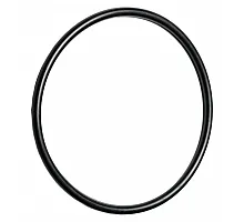 3751113 Sealing ring [Lemken] HEAVY-PARTS ORIGINAL