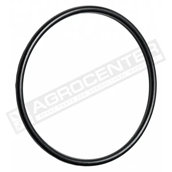 3751113 Кільце гумове ущільнююче [Lemken] HEAVY-PARTS ORIGINAL - 1