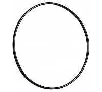 3751277 Sealing ring [Lemken] HEAVY-PARTS ORIGINAL