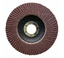 Petal end circle 125*22.23 t27 P*60 Novoabrasive Standard