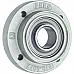 207 XTR-R-DFC-A534 Bearing PEER, 3199372 - 1