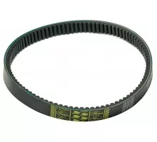 0210103 Belt Gates, R222393