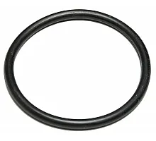 212031 Sealing ring, 212031.0