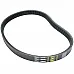 1562235 Belt Gates, 4463092 Volvo - 2