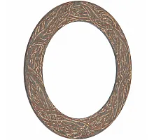 648507 Накладка фрикційна муфти перевантаження [Claas], 648507.1, 749936, 812687