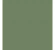 Claas paint green 1l
