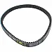 0809104 Belt EE-TECH Gates AGRI, Z41178, Z20459 - 3