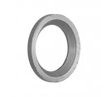 501106 Sealing ring [Geringhoff]