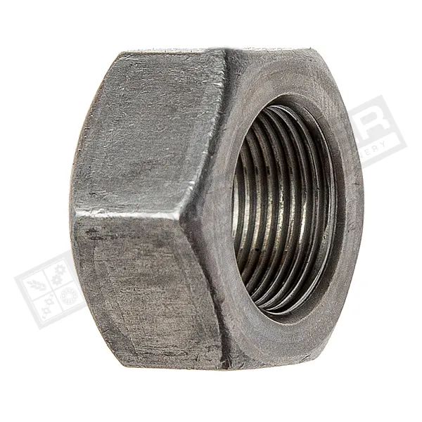644984 Nut M16*1 hexagonal [Claas], 644984.0 - 1