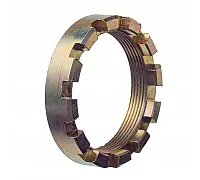 734959 Slotted nut [Claas], 734959.0
