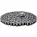 796567.0 Chain [Claas Lexion] Tagex, 796567 - 2