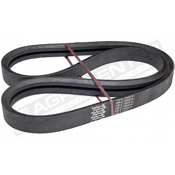 2HB 1950Lw Belt V-type ( 303143 ) GUFERO - 1