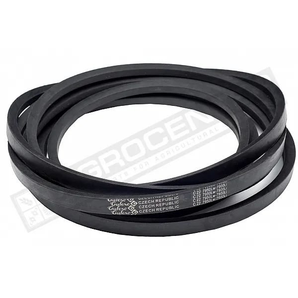 C22 7950Lw-7900Li Пас V-образный ( 301633 ) GUFERO - 1