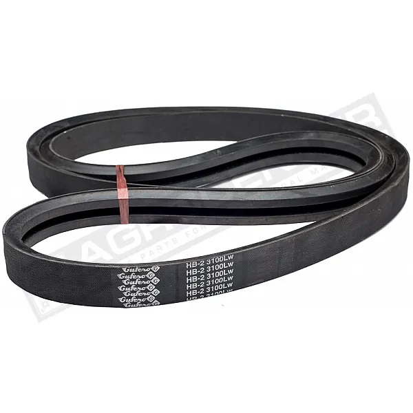 2HB 3100Lw Belt V-type ( 303173 ) GUFERO - 1