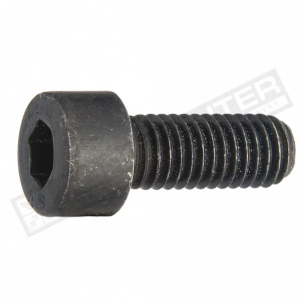 236987.0 Cylinder head bolts M8*20 8.8 [Claas], 214749.0, 236937.0, 233514.0 - 1