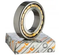 20210 K C3 Підшипник CT-AGRI, 239123