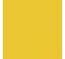 Paint John Deere yellow before 1982, 1 liter
