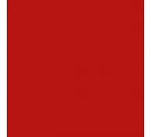 Massey Ferguson paint, red 1l