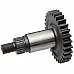 56809800 Pinion z30 [Kuhn] - 4