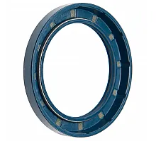 233931 Sealing CORTECO [Claas Lexion], 12001713B, 233931.0