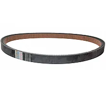 665957.1 Variator belt [Claas Lexion] Tagex, 665957