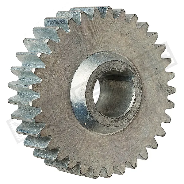 DR12140 Шестерня редуктора d25 z33 [Olimac Drago] - 1