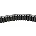 660423 Belt [Claas Original] 0006604230 - 4
