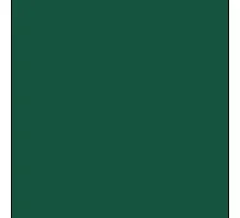 Paint for Kverneland green 1l