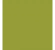 Paint Claas soft green 400ml/aerosol can (610504KR)