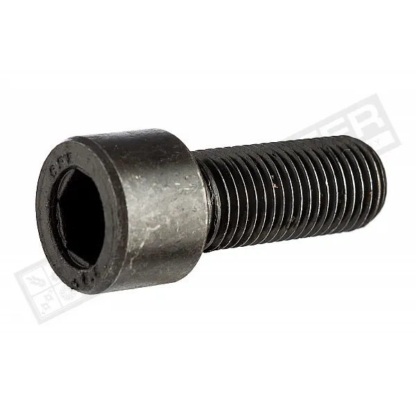 238904 / 215351 Болт M18*2*45 цилиндр. головка [CLAAS] - 1