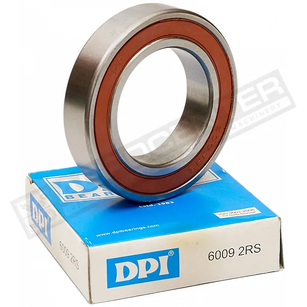 6009-2RS Bearing DPI - 1